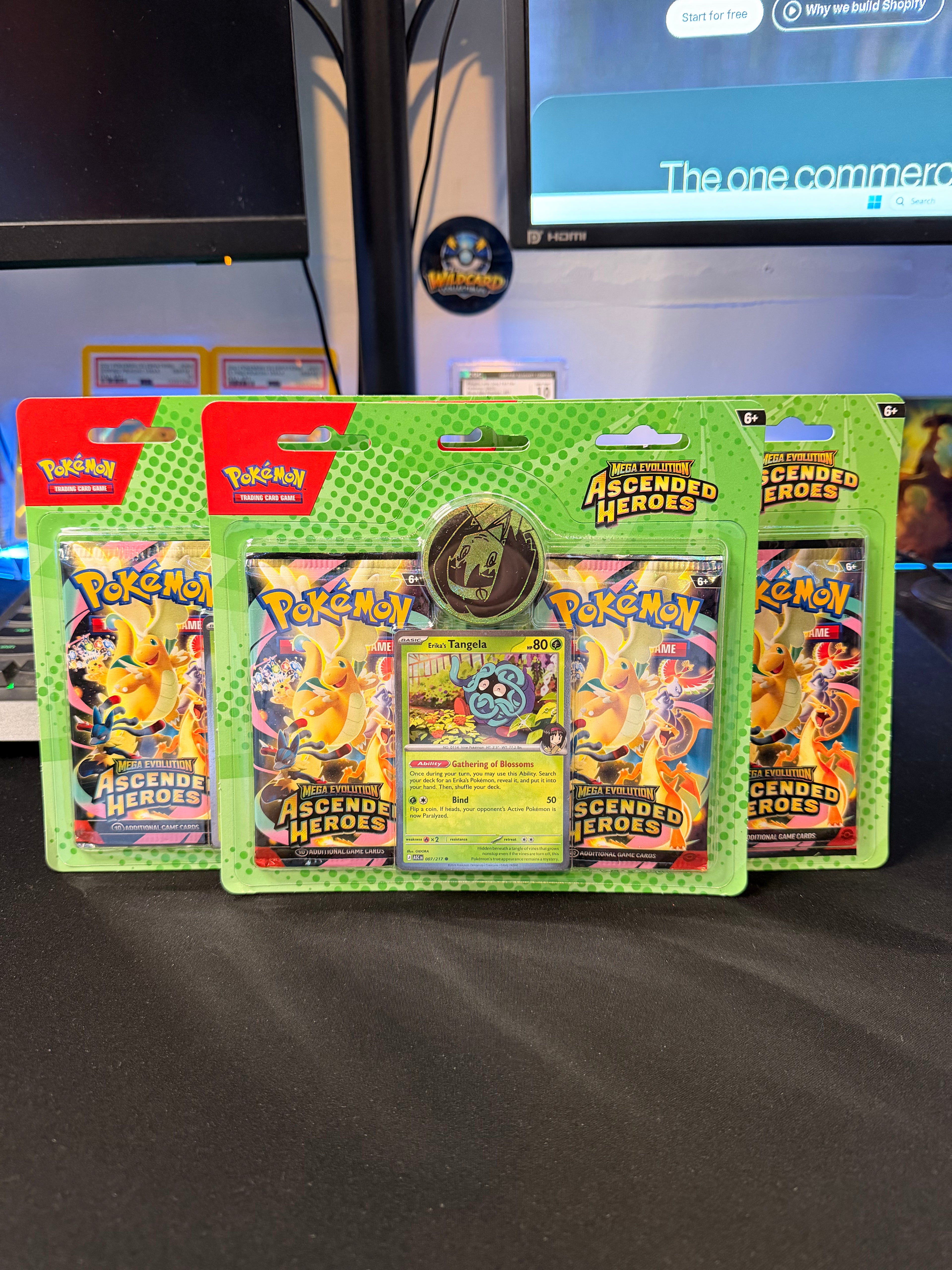 Ascended Hero’s Collection - Erika